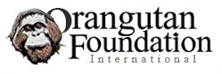 Orangutan Foundation International