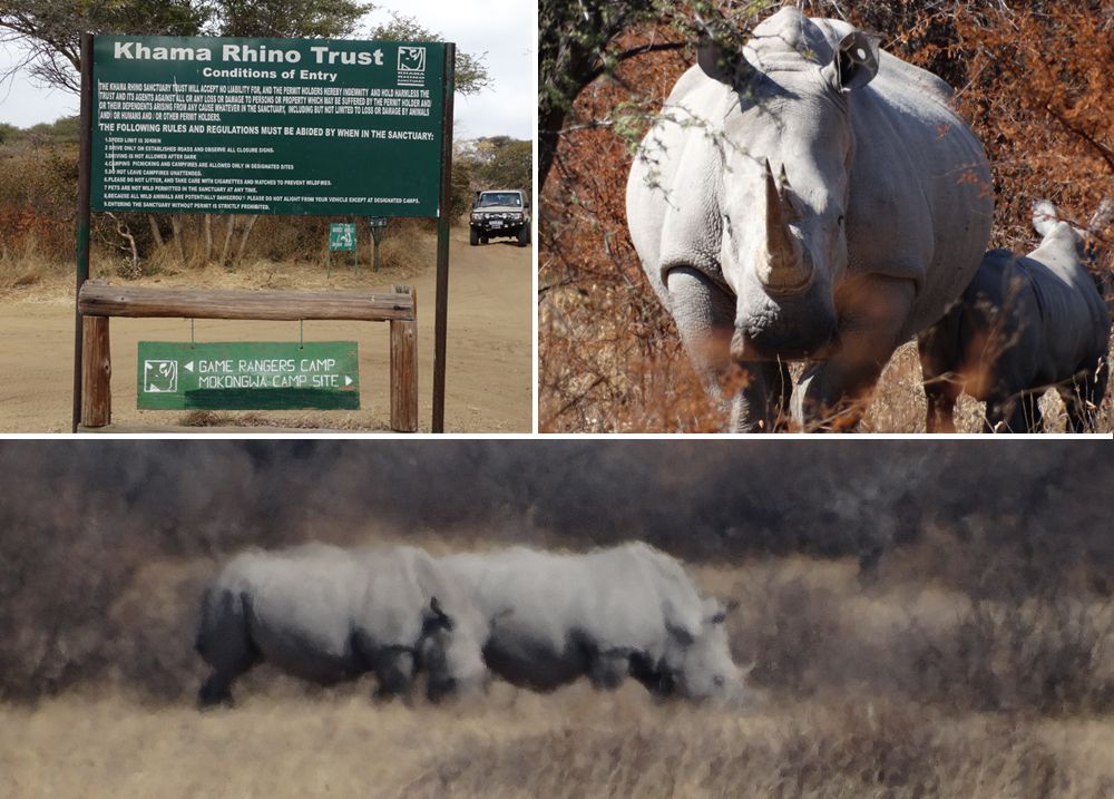 Khama Rhino Sanctuary Trust